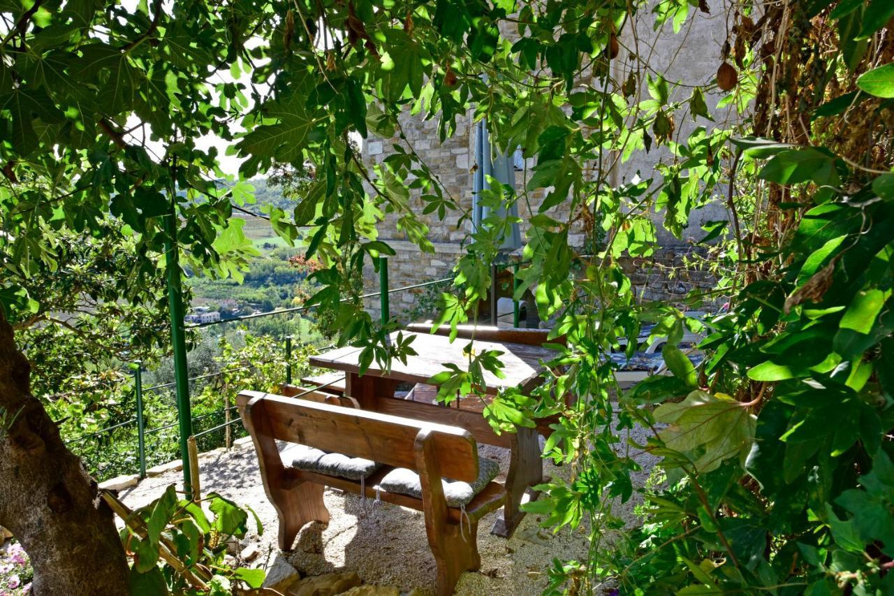 Villa Fragola Мотовун Экстерьер фото